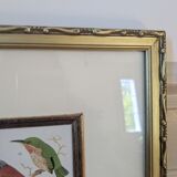 Lithographic frame of birds