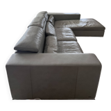 Roche Bobois sofa