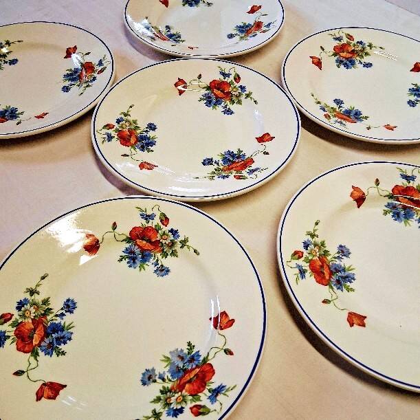 6 flat plates from Salins les Bains, "Poppies" pattern, in very good condition