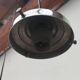 Opaline ball suspensions