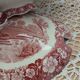 Antique Palissy soup tureen / England