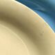 Assiettes plates vintage