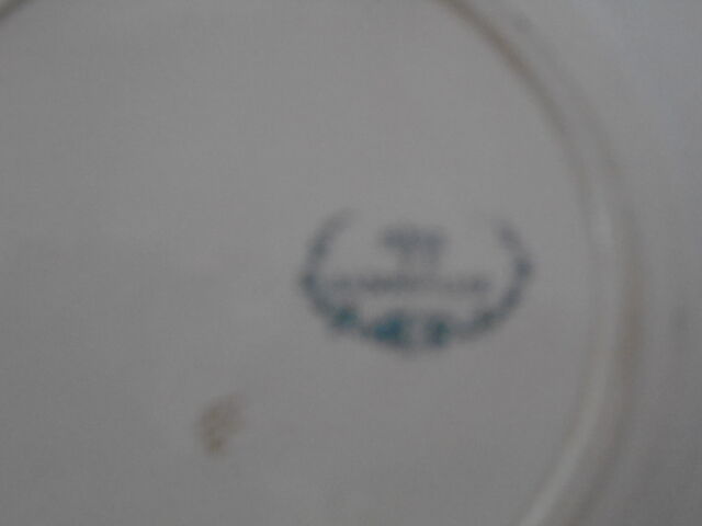 2 Plates faience old Bondonviller decoration MURE wild fruit iron earth diameter 22 cm