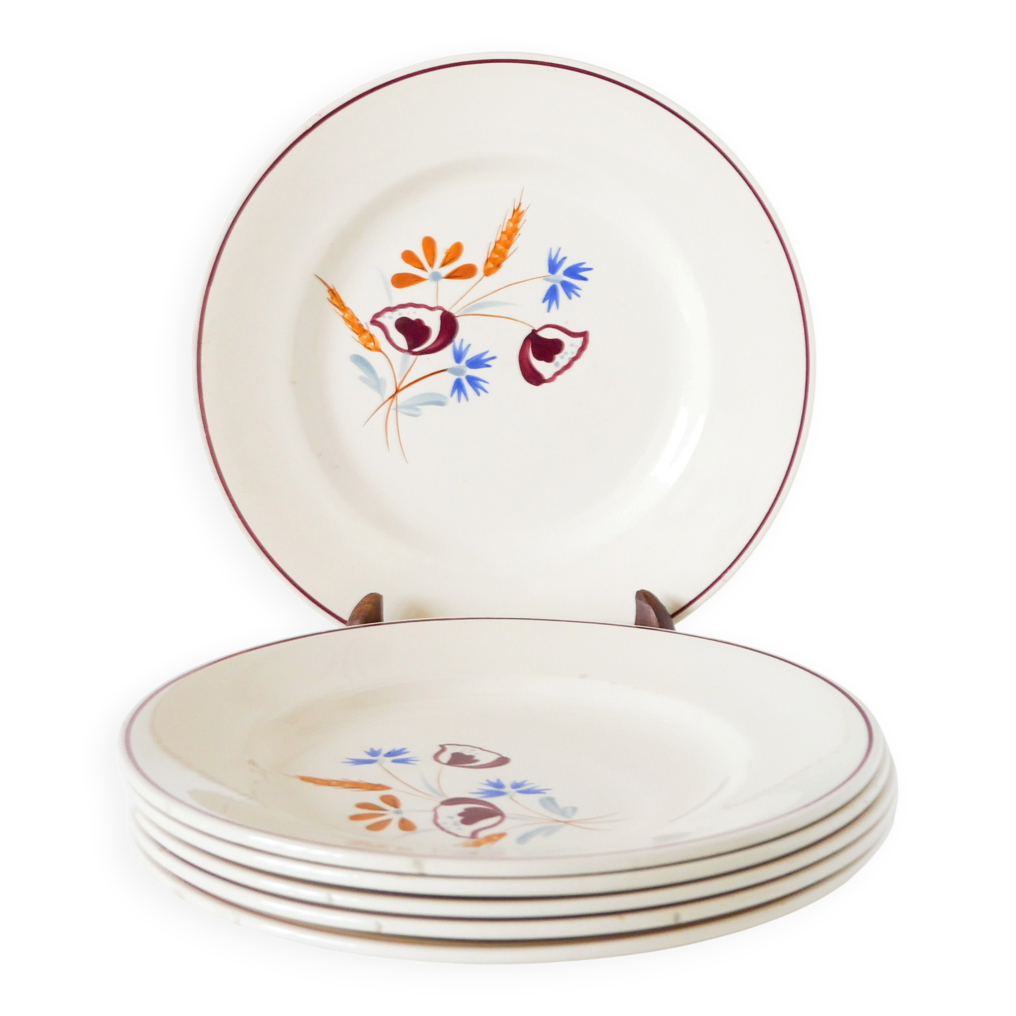 Set of 6 flat plates Salins, hand-painted flower patterns, 1950.