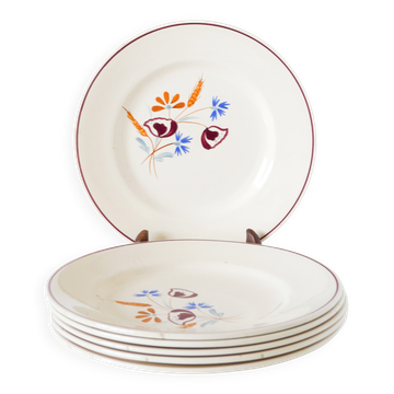 Set of 6 flat plates Salins, hand-painted flower patterns, 1950.