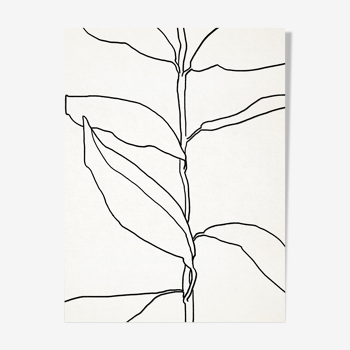 Botanical illustration black lines 50x70cm