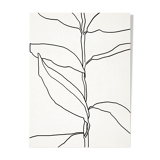 Botanical illustration black lines 50x70cm