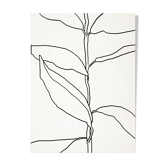 Illustration botanique lignes noires 50x70cm