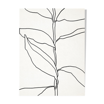 Illustration botanique lignes noires 50x70cm