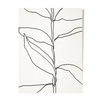 Illustration botanique lignes noires 50x70cm