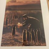Photography by Joan Fontcuberta original authentic artwork 5/5 series Miracles & Co