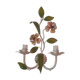 Romantic wall lamp in enamelled metal