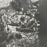 Old black and white silver photography early twentieth century