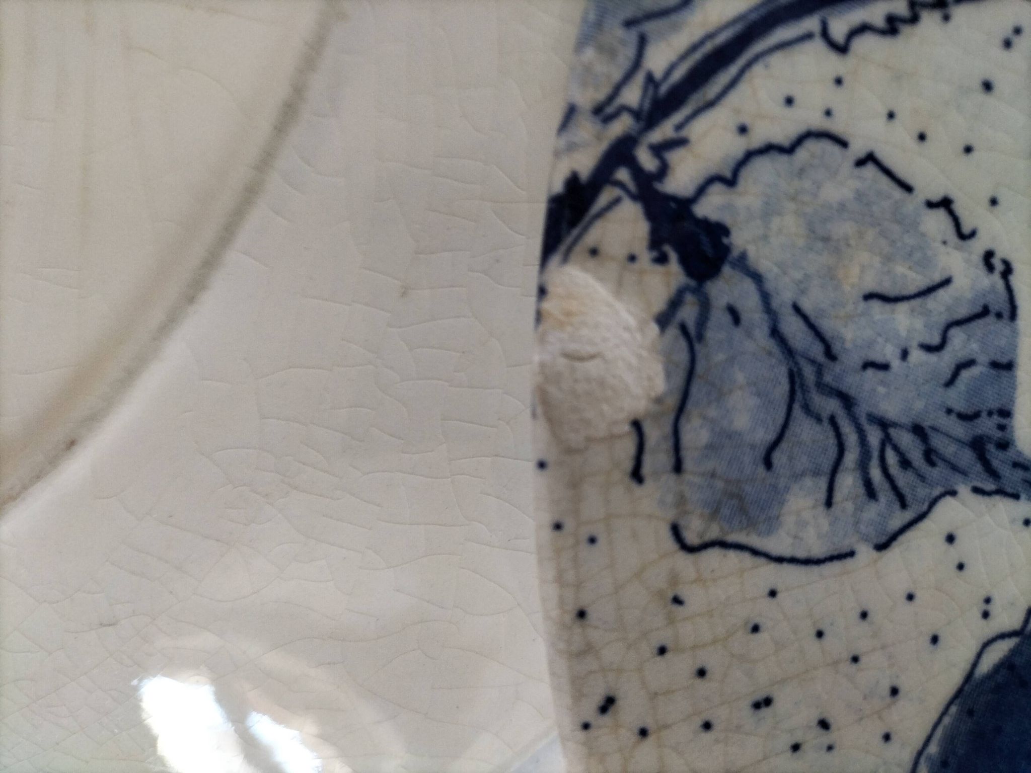 Two flat plates in earthenware with blue floral decoration.
