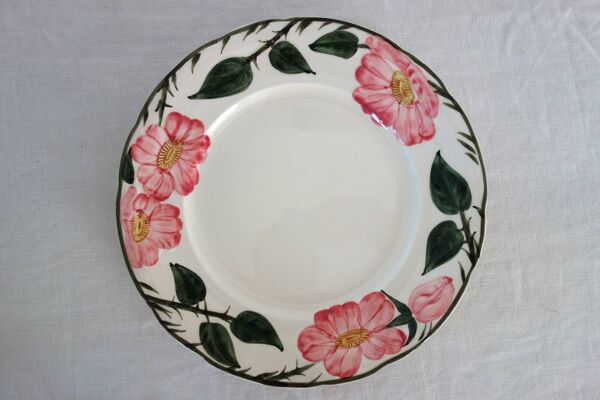 8 Assiettes à dessert Villeroy & Boch ''Wild Rose'', 1970