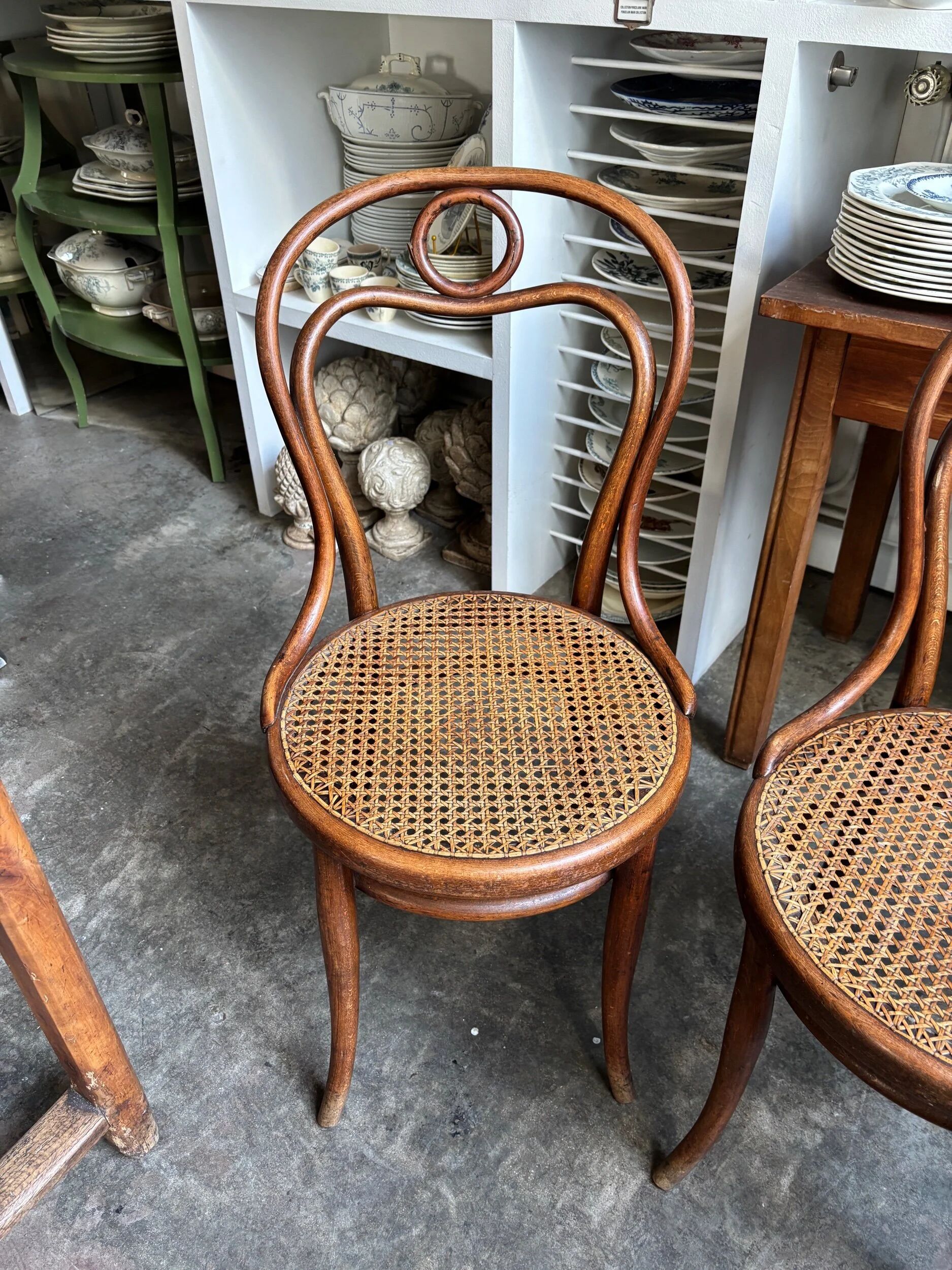 2 Thonet chairs no. 31 in bent beech and caning