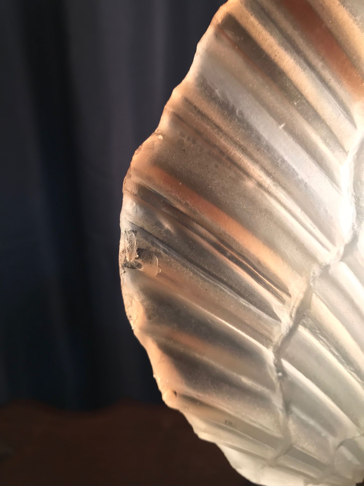 Shell lamp in gilded brass and molded glass 70s