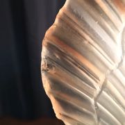 Shell lamp in gilded brass and molded glass 70s