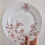 Dessert plates Hache Julien & Cie Vierzon