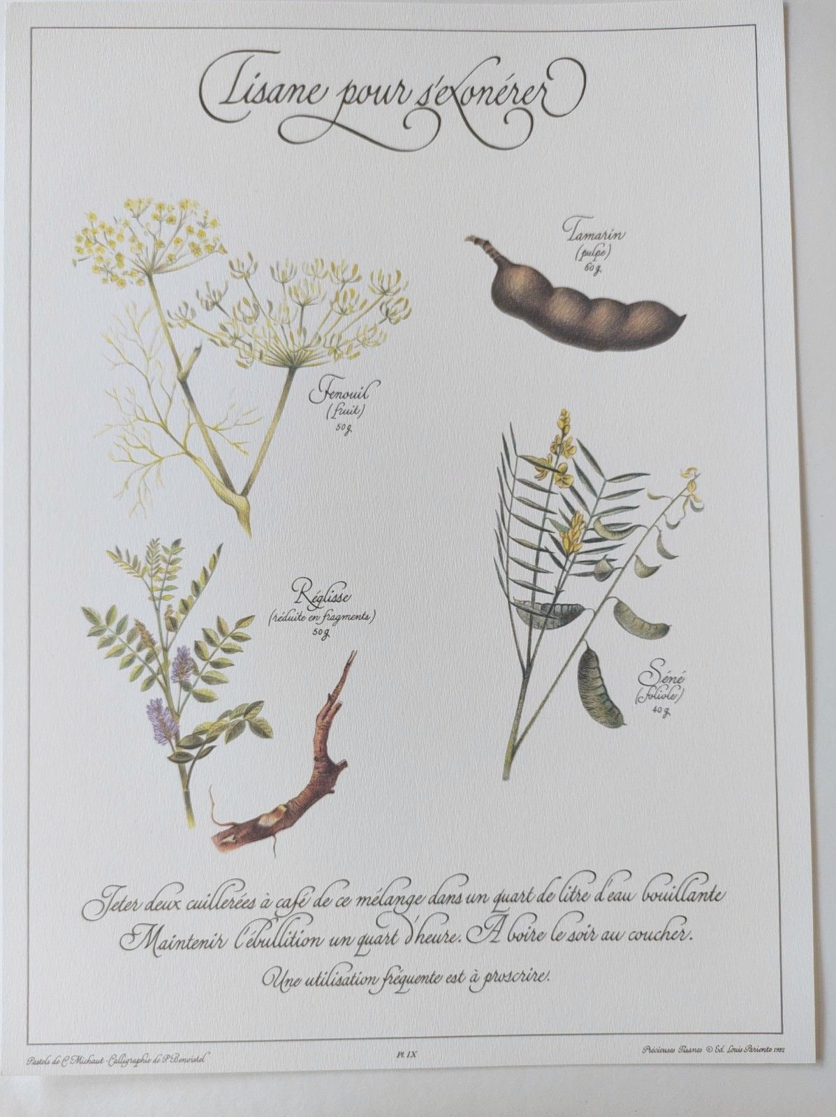 Botanical engraving -Herbal tea to exonerate- Illustration of medicinal plants and herbs