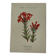 Botanical lithograph French flower double-sided naturalist