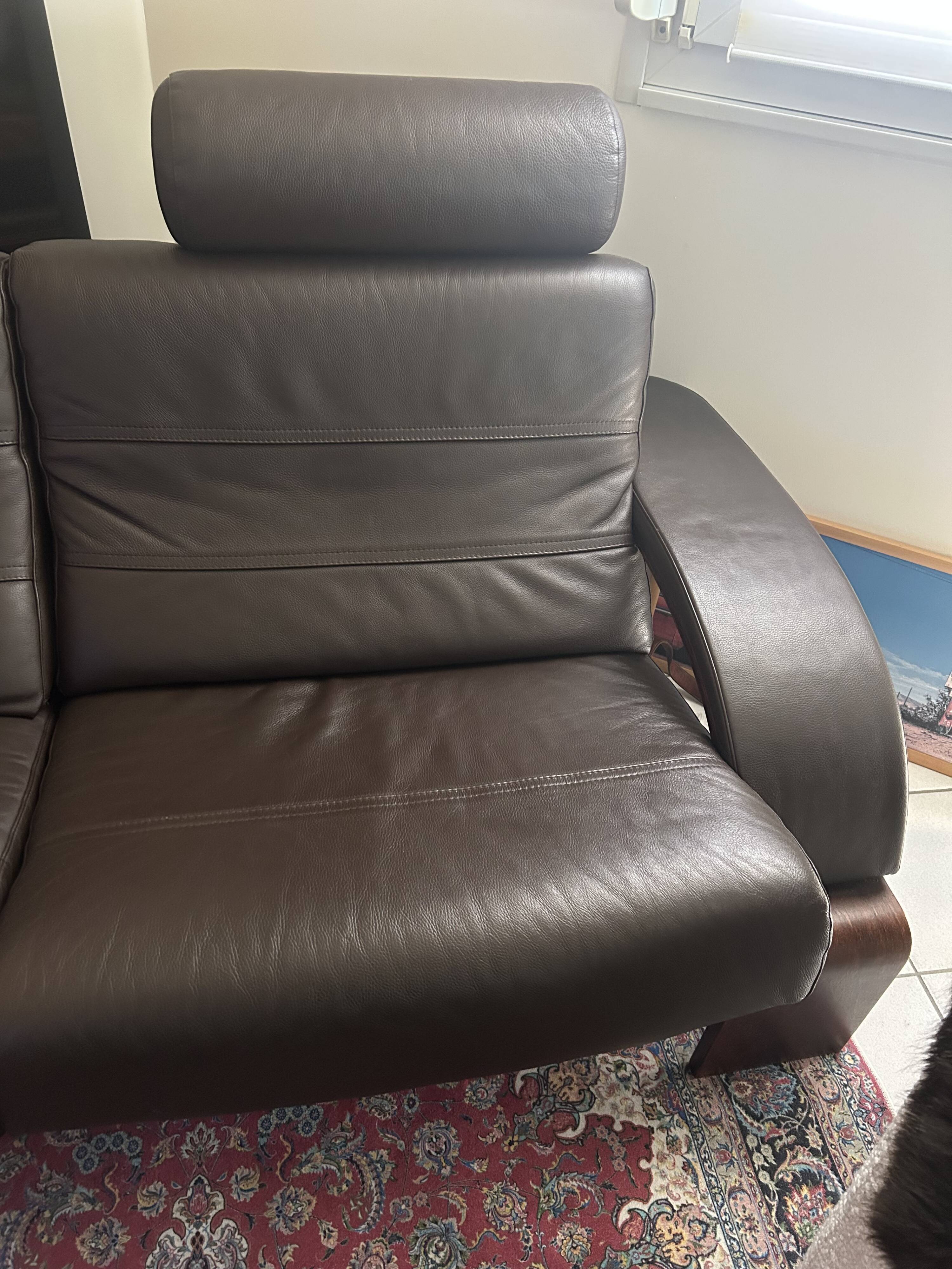 Roche Bobois sofa