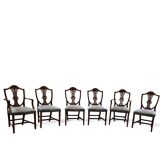 6 x English mahogany Hepplewhite chairs / 1920s