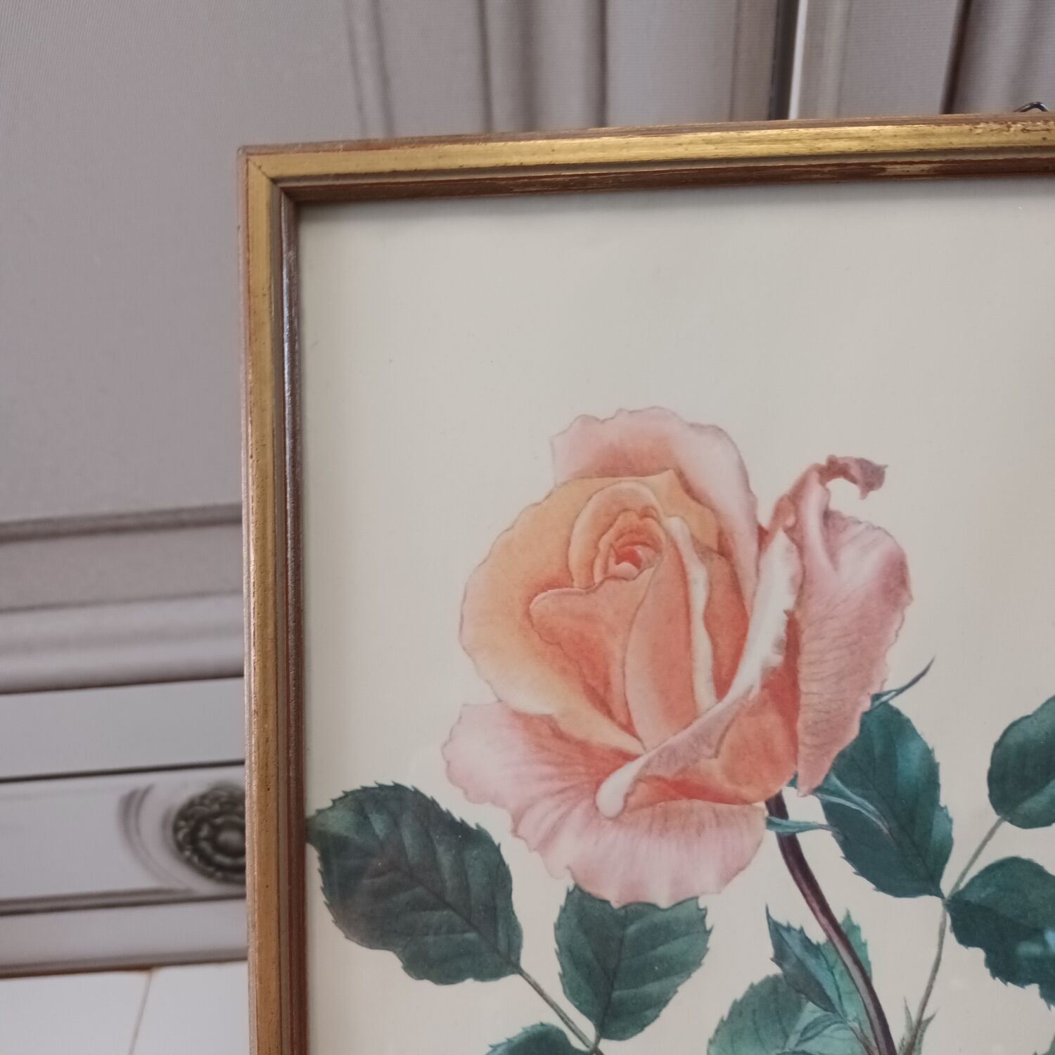 Gravure rose