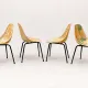 Set of 4 chairs La Cigogne by René-Jean Caillette – 1950s/60s