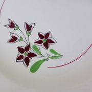 4 vintage flat plates from the Salins factory 210663
