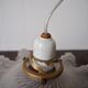 Pair of frosted glass flower pendant lamps
