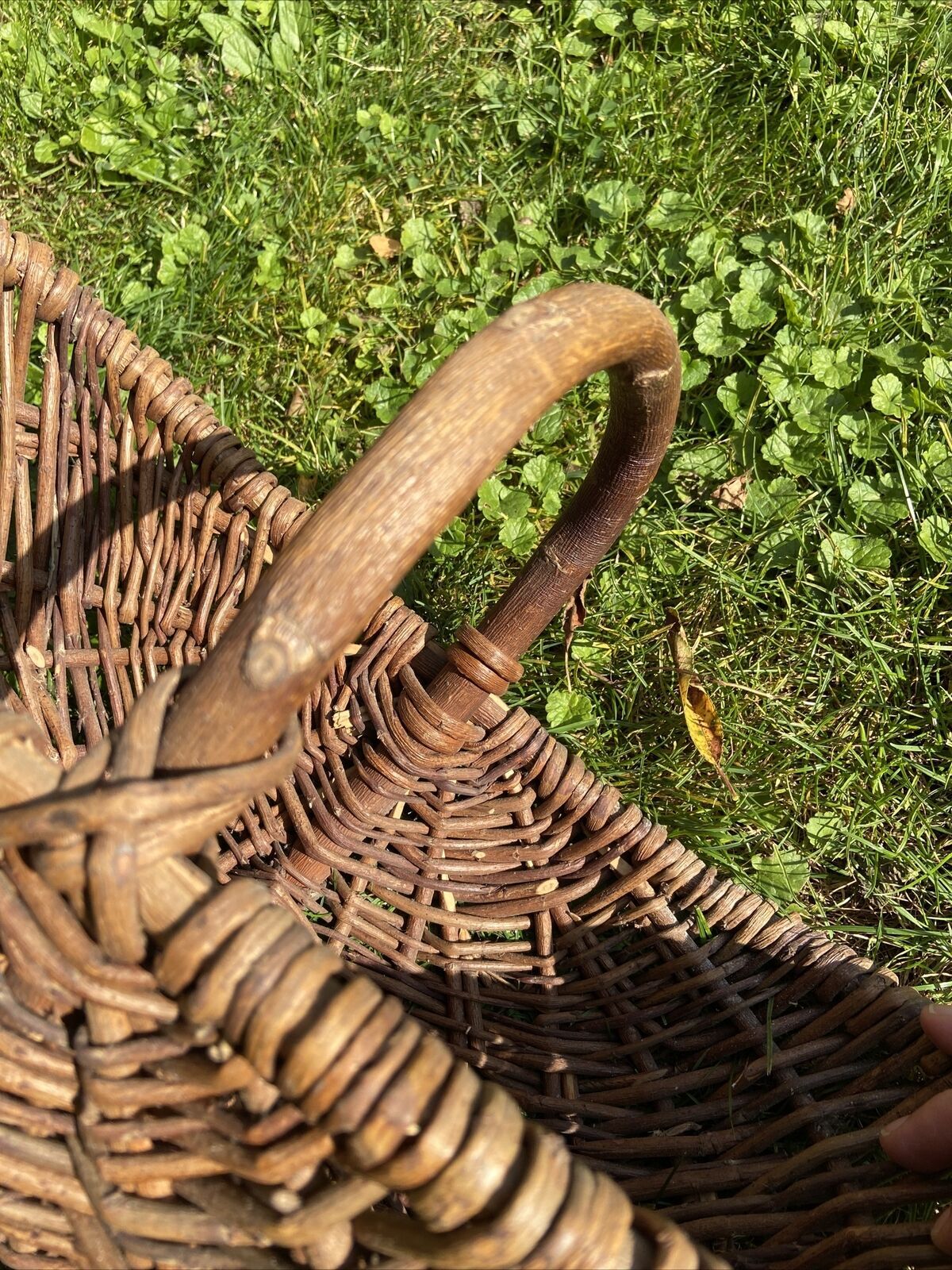 Basket with wicker handle picking vegetable garden mushrooms