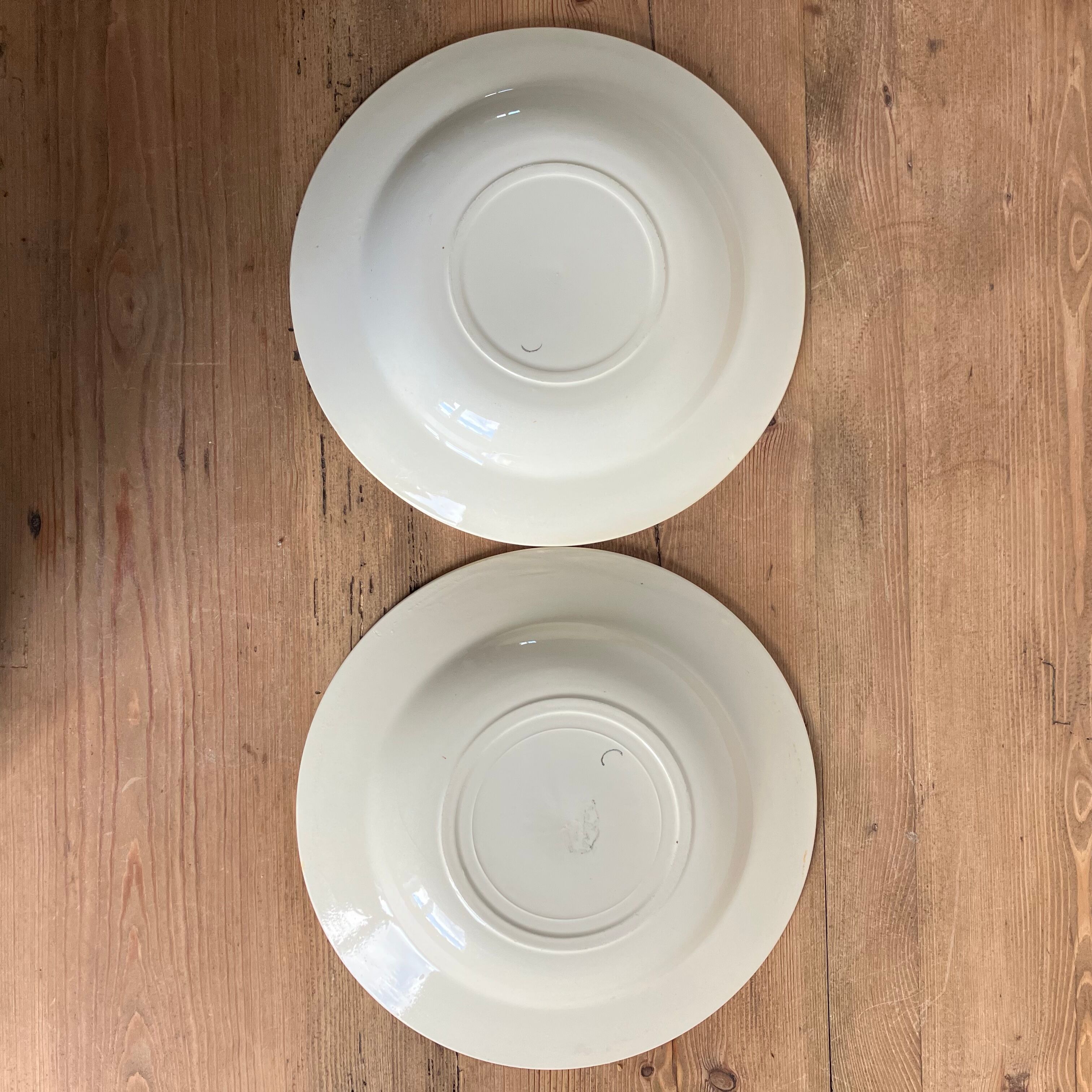 2 hollow plates Salins floral décor