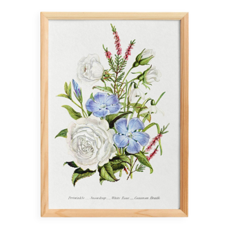 Affiche sur les pervenches, perce-neige, roses blanches et bruyères