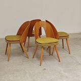 Set of 4 yellow Antonin Suman chairs for Tatra Nabytok 1960