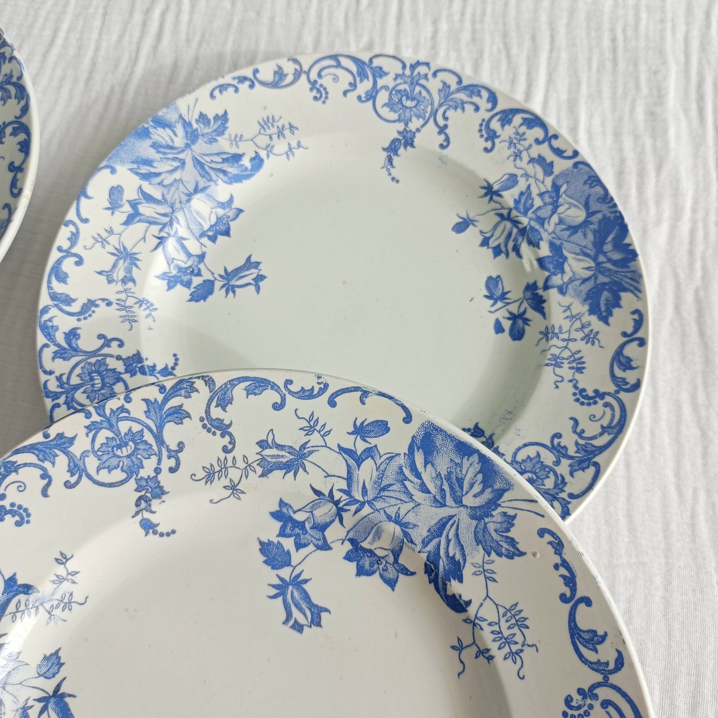 Lot de 6 assiettes semi-creuses terre de fer Saint Amand et Hamage, Campanule