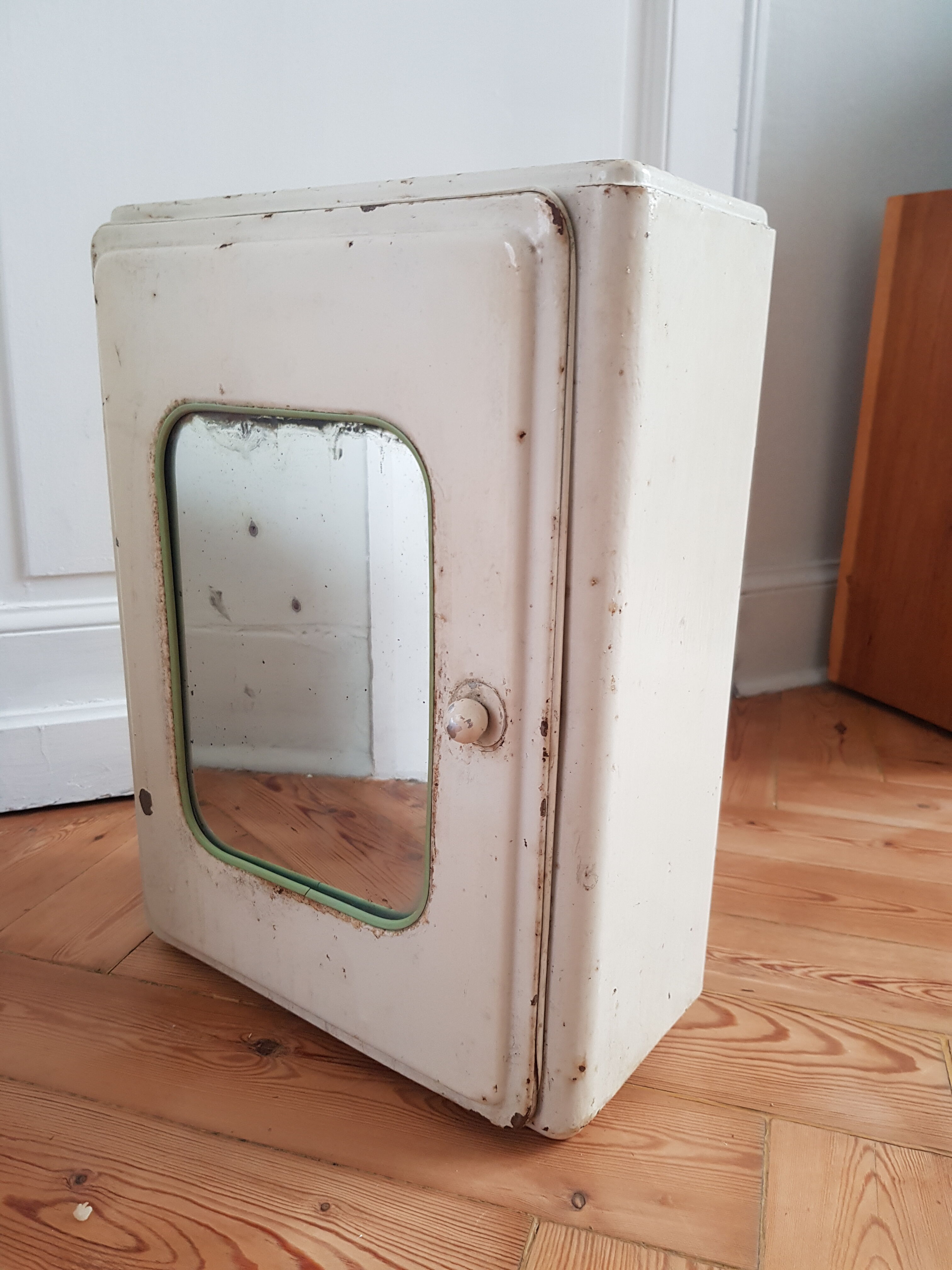 Medicine cabinet or toilet cabinet