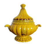 Mustard yellow soup or candy maker