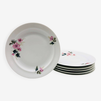 6 Flat Plates in Limoges porcelain, Chastagner