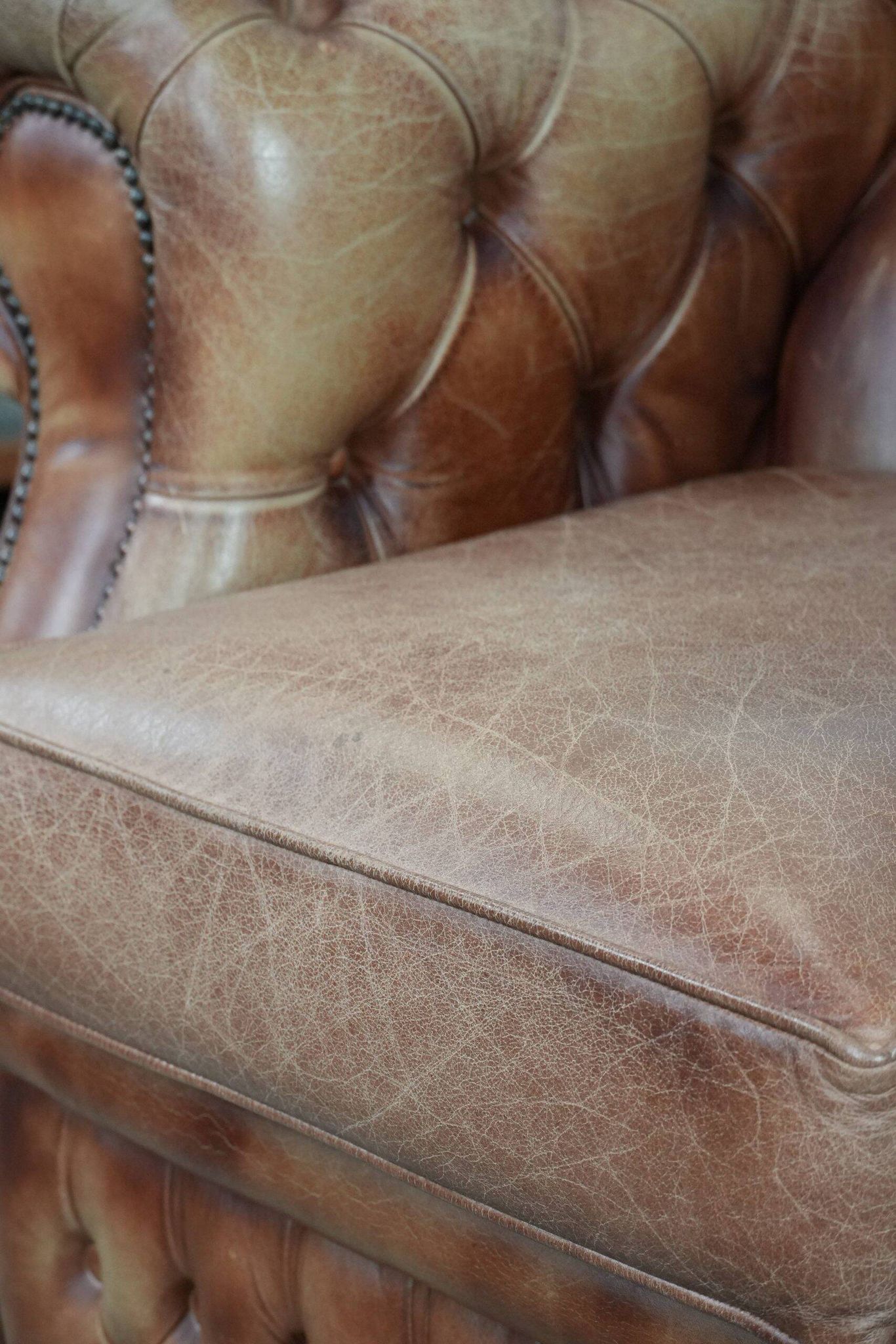 Chesterfield armchair in English style made of cowhide leather