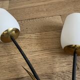Arlus tulip wall light