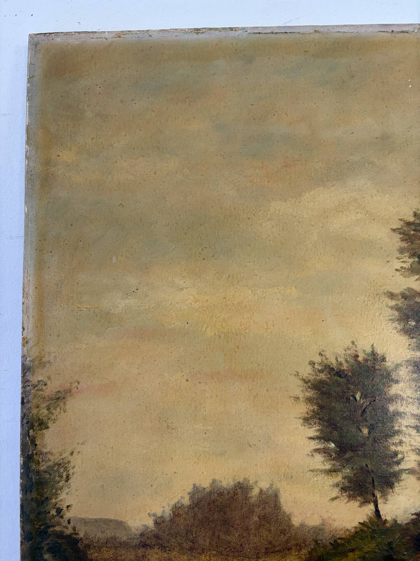 Landscape at the pond, oil on canvas signed André Ricq.