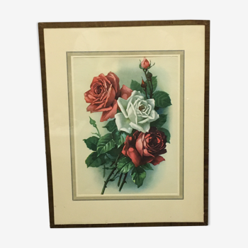 Frame bouquet of roses