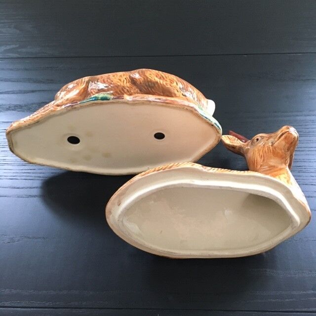 Empty pocket deer in dabbling