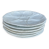 6 oyster plates
