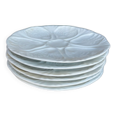 6 oyster plates
