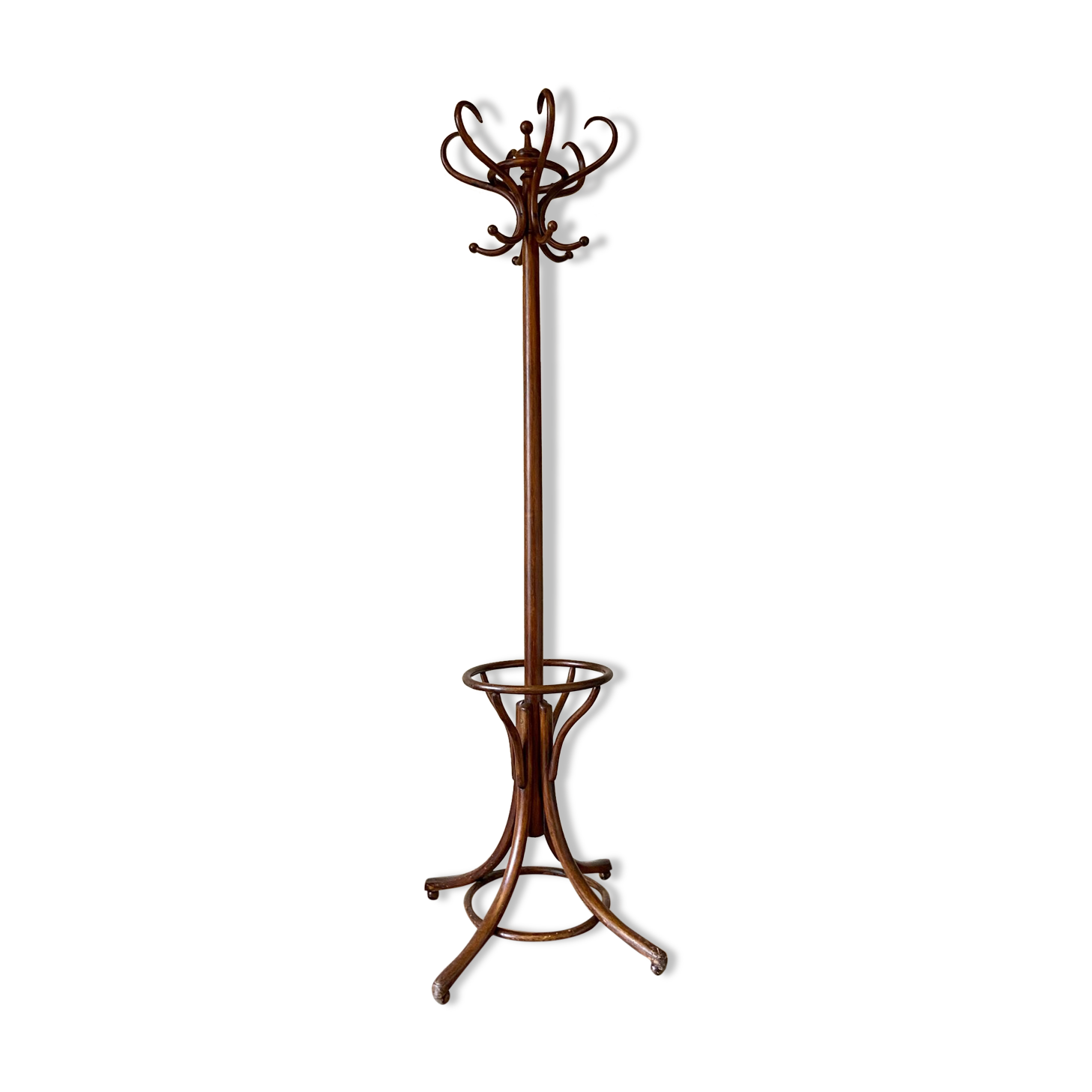 Parrot and dark arched beech coat rack