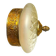 Ornate glass and brass wall or ceiling lamp