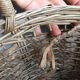 Panier