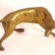 Dog brass